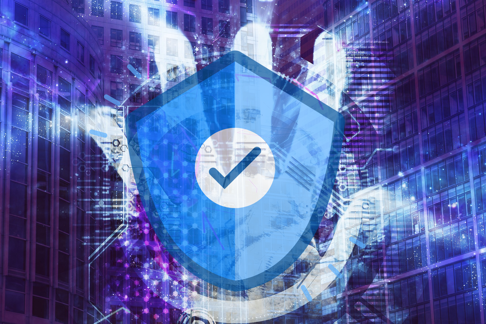 Cyber Hygiene and Data Privacy Defense